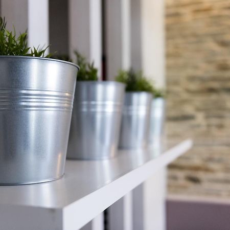 Albergue Goas Abadín Dış mekan fotoğraf